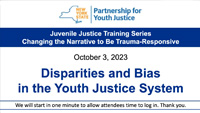 Juvenile Justice Training Series